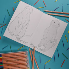 Amazing Animal Families Colouring Book