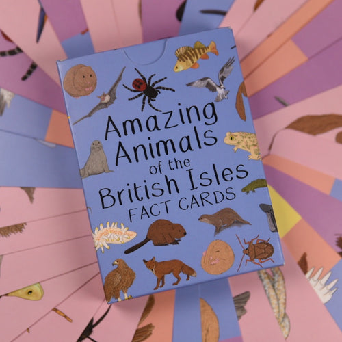 Amazing Animals Of The British Isles Fact Cards