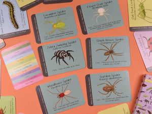 Amazing British Bugs ID cards