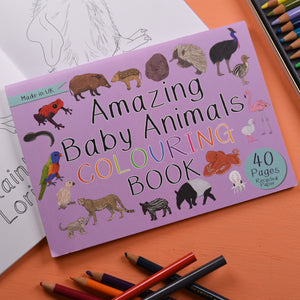 Amazing Baby Animals Colouring Book