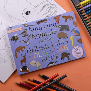 Amazing Animals Of The British Isles Colouring Book
