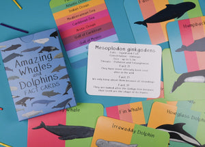Amazing Whales And Dolphins Fact Cards