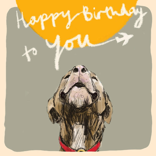 Happy Birthday Dog Plane Card