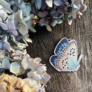 Large Blue Butterfly Wooden Decoration