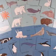 Amazing Polar Animals Fact Cards