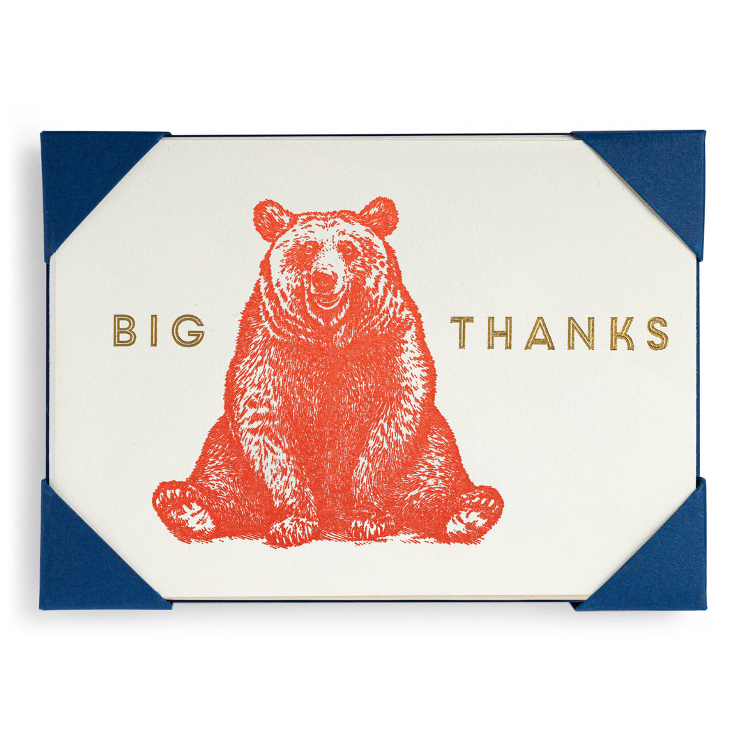 Big Thanks Pack of 5 Thank You Cards