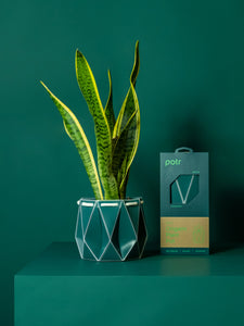 15cm Potr Origami Pot - Pine Green