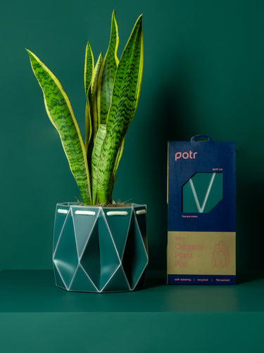 18cm Potr Origami Pot - Pine Green