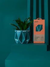 11cm Potr Origami Pot - Pine Green