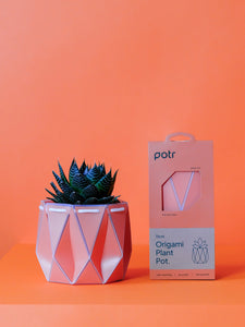 11cm Potr Origami Pot - Coral