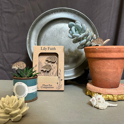 Hedgehog Plant Pot Friends