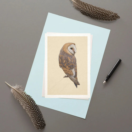 Barn Owl Greeting Card