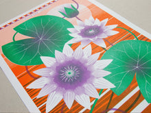 A3 Water Lily Print