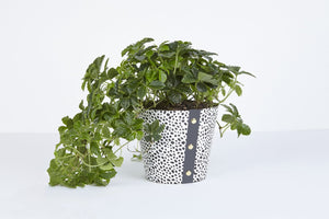 Spores Design Plant Pot Cover