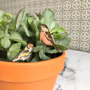 Wooden Birds for Plant Pots