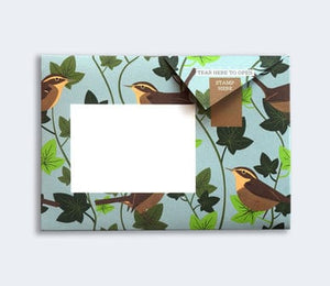 Robin and Wren Pigeon Pack