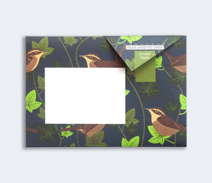 Robin and Wren Pigeon Pack