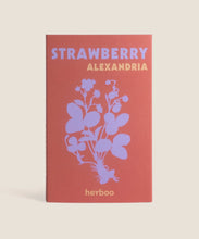 Alexandria Strawberry Seeds