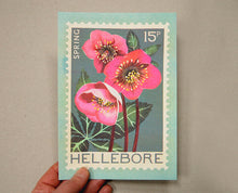 Hellebore flower print
