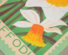 Spring Daffodil Print