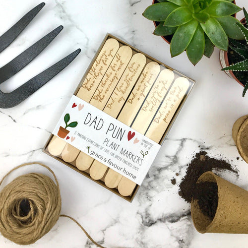 Dad Pun Plant Marker - Boxed