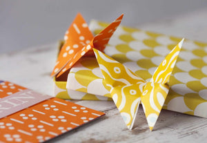 Origami Butterfly Kit