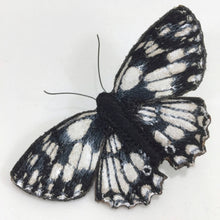 Marbled White Butterfly Brooch