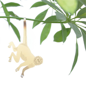 Spider Monkey Plant Animal