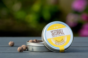 Bee Mix Seed Ball Tin