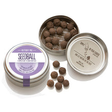 Butterfly Mix Seed Ball Tin