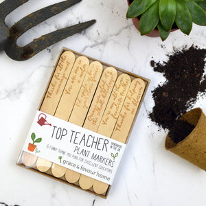 Best Teacher Plant Marker Gift Set